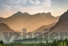 大象传媒免费下载网站-探索大象传媒，免费下载网站的便捷与魅力