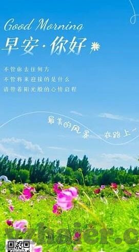 糖心app为什么不能注册-失落的甜蜜，揭秘糖心App无法注册的背后