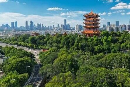 糖心官网下载入口-糖心官网，重塑数字娱乐的全新体验