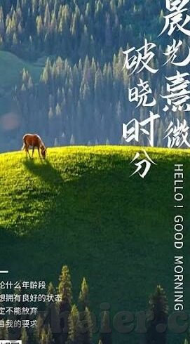糖心vlog官网入口扫描-探秘糖心Vlog，记录美好生活的新窗口
