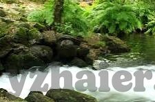 一区二区三区免费视频-探索网络视频的多元化体验，一区、二区、三区的免费视频世界